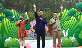 片视频,[视频标题]深度解析