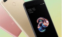 5x视频在线观看,在线观看新体验